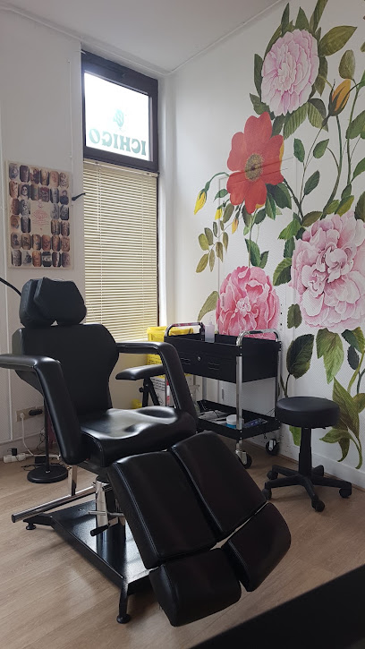 Ichigo Salon De Tatouage Tatoueur à Ligueil