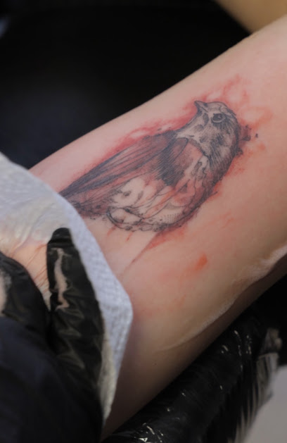 Oxy Studio — Piercing Et Tatouage, Tatoueur à Strasbourg