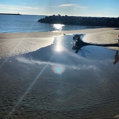 Kronos Ink Tattoo, Tatoueur à Sète