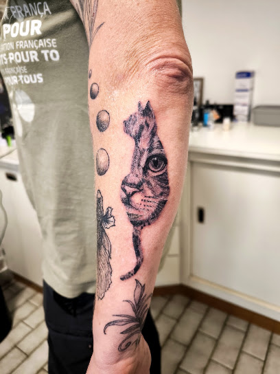 Séb-Tik Tattoo, Tatoueur à Vincelles
