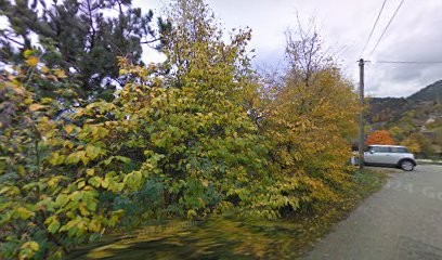 Blackscab Tattoos, Tatoueur à Saint-Baldoph